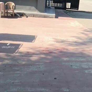 Sapanca Gölya Tabiat Parkı Hüsranı!