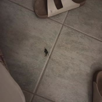 Taahhüt Edilen Lüks Yolculuk Yerine Ayıplı Otobüs Ve Kalitesiz Otel