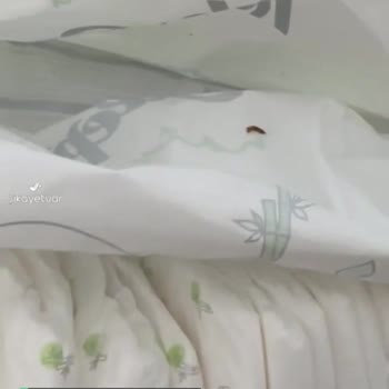 Sleepy Bebek Bezinden Böcek Çıktı!