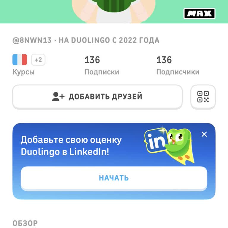 Ошибка в Duolingo Max: списание заморозок без причины и потеря серии занятий — как вернуть?