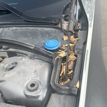 Volvo Yetkili Servisinde Yanıltıcı Teşhis Ve Güvenlik İhmali