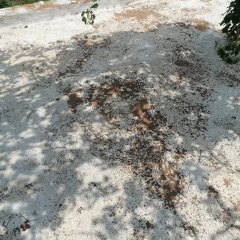 Manavgat'ta İşlevsiz İzolasyon Ve Sözünü Tutmayan Firma
