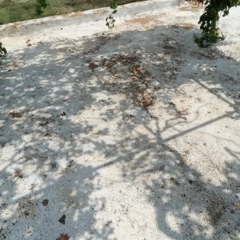 Manavgat'ta İşlevsiz İzolasyon Ve Sözünü Tutmayan Firma