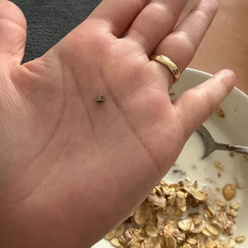 A101 Şubesinde Satın Aldığım Müsli İçinde Taş Benzeri Yabancı Madde: Sağlık Riski Oluşturdu