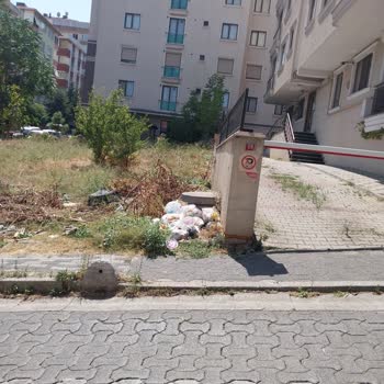 Boş Arsanın Çöplerle Kaplanması Kötü Koku Ve Hijyen Sorunları Yaratıyor