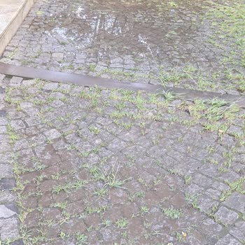 Belgrad Ormanı Personelinin Su İsrafı Ve Kaba Davranışı