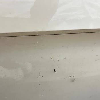 Albos Otel B9 Odasında Temizlik Ve Hizmet İhmaline Dair Şikayet