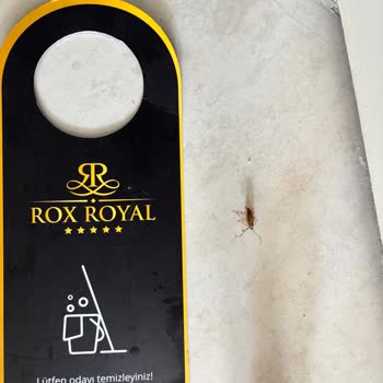 Rox Resort Otelinde Hijyen Sorunları Ve Böcek Isırıkları Sağlık Problemlerine Neden Oldu