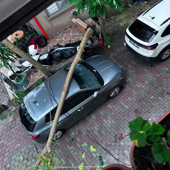 Onay Sürecindeki Uzun Gecikme Ve İkame Araç Sorunları Nedeniyle Memnuniyetsizlik