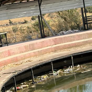 Sülüklü Mahallesi Göletinde Bakımsızlık Ve Güvenlik Tehlikesi