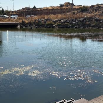 Sülüklü Mahallesi Göletinde Bakımsızlık Ve Güvenlik Tehlikesi