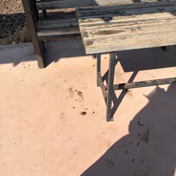 Sülüklü Mahallesi Göletinde Bakımsızlık Ve Güvenlik Tehlikesi