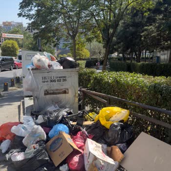 Çöp Konteynerleri Boşaltılamıyor, Kötü Koku Ve Sağlık Riski Mahalleyi Rahatsız Ediyor