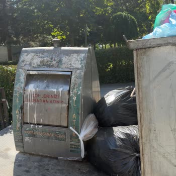 Çöp Konteynerleri Boşaltılamıyor, Kötü Koku Ve Sağlık Riski Mahalleyi Rahatsız Ediyor