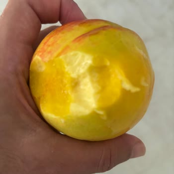 Carrefour'da Süre Sonu Yaklaşan Süt, Sert Nektar Ve Kötü Kokulu Karpuz