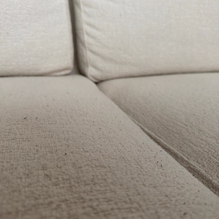 Vivense Koltuğumda Hızlı Tiftiklenme Ve Kalite Hayal Kırıklığı