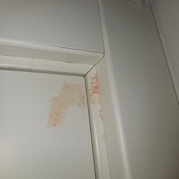 Booking.com Hotel Refuses Refund for 4 Unused Nights After Unsanitary Room