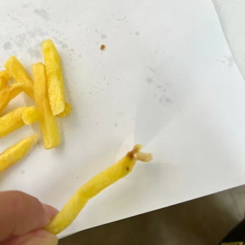 Burger King Patates Kızartmasında Yabancı Madde Gıda Güvenliği Şikayeti