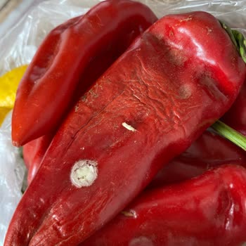 Migros Sanal Market’te Çürük Sebzeler Ve İade Talebi