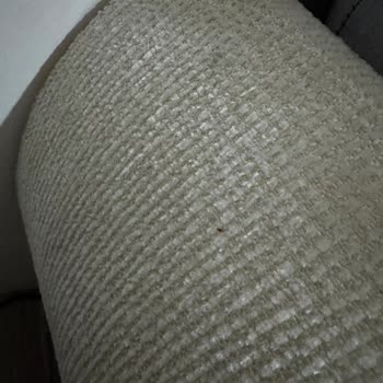 Tahta Kurusu Sorunu Nedeniyle Yatak Odası Takımının Değişimi Ve İadesi Talebi