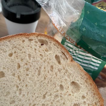 UNO Karadeniz Tava Ekmeğinde Böceklenme Ve Sağlık Riski