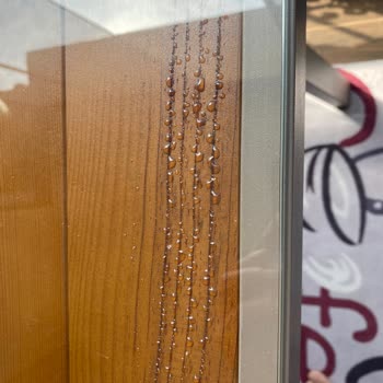 Cam Değişimi Müşterinin Taşıması Gerektiği Ve Güneşte Tekrarlayan Yapışkan Sorunu
