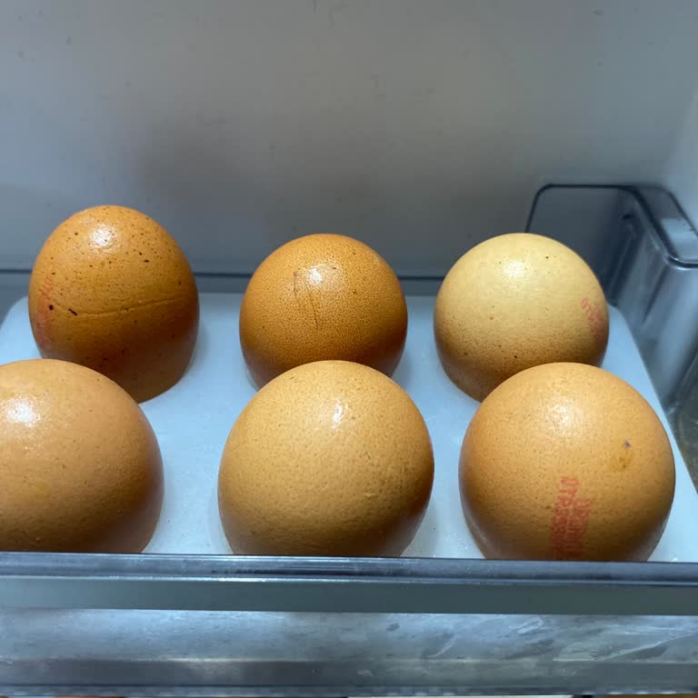 Bozuk Organik Yumurta İçin Ücret İadesi Ve Ürün Değişimi Talebi