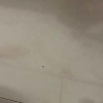 Kısa Sürede Kapakta Çamaşır Suyu İzine Benzer Lekeler Ve Ücretsiz Değişim Talebi