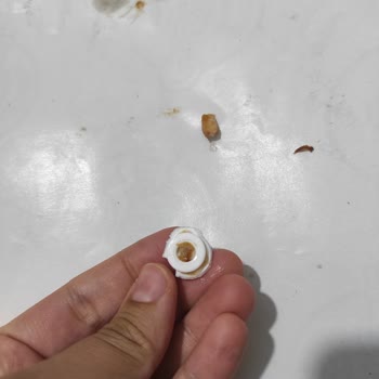 Dönerde Plastik Yabancı Cisim Bulunması Hijyen Sorunu Olarak Bildirildi
