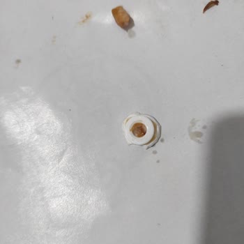 Dönerde Plastik Yabancı Cisim Bulunması Hijyen Sorunu Olarak Bildirildi