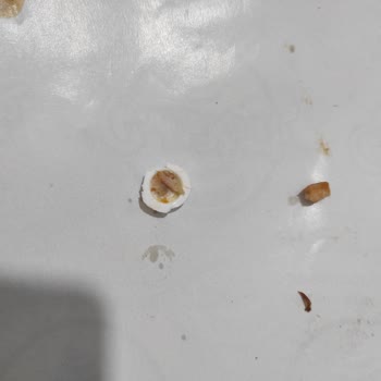 Dönerde Plastik Yabancı Cisim Bulunması Hijyen Sorunu Olarak Bildirildi