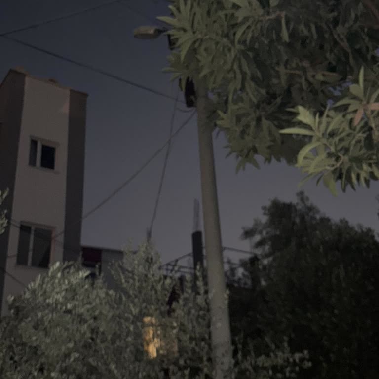 Belediyeevleri Mahallesindeki Sokak Lambası Uzun Süre Çalışmıyor, Acil Onarım Gerekiyor