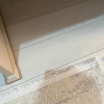 Ecovacs T90 Pro Omni Robot Süpürge Emiş Gücü Ve Engel Algılaması Sorunlu İade Reddi