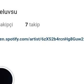 TikTok Hesabımın İzinsiz Ele Geçirilmesi Ve Tüm Sosyal Medya Hesaplarımın Hacklenmesi