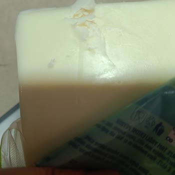 Cebel Markalı Peynirde Kıl Tespiti Hijyen İhlali
