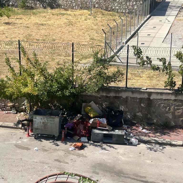 İhmal Edilen Çöp Toplama Hizmeti Çevrede Sağlık Riski Ve Haşere Sorunu Oluşturuyor