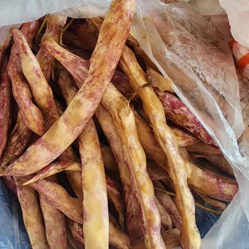 Tarladan Mutfağa Siparişte Gönderilen Ürünler Bozuk Çıktı