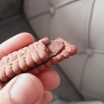 Ülker Bisküvi İçinden Kıl Çıktı: Hijyen Ve Sağlık Endişesi