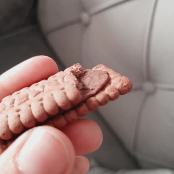 Ülker Bisküvi İçinden Kıl Çıktı: Hijyen Ve Sağlık Endişesi
