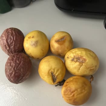 Anamurmeyvecim Müşterisine ve Ödediği Paraya Saygı Duymayan Yaklaşım