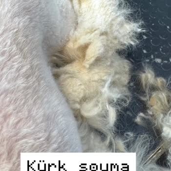 Bıdık Pet School & Hotel Ne Düzgün Bir Bakım Ne De Vaat Edilen Eğitim Verildi