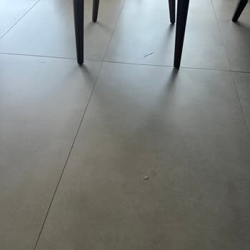 Dyson Spot Scrub Robot Süpürge Kirli Su Sızıntısı Ve İade Talebi