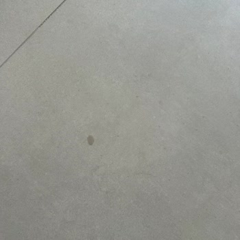 Dyson Spot Scrub Robot Süpürge Kirli Su Sızıntısı Ve İade Talebi