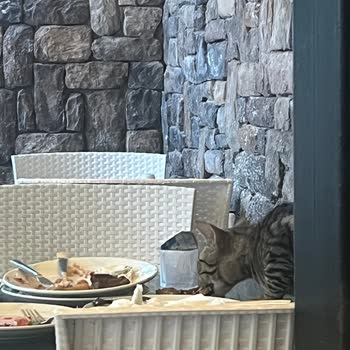 Hijyen Sorunları Ve Asansör Arızası Nedeniyle Ek Yatak Ücretinin İadesi Talebi