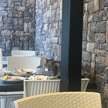 Hijyen Sorunları Ve Asansör Arızası Nedeniyle Ek Yatak Ücretinin İadesi Talebi