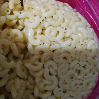 Dirsek Makarna’da Böceklenme Ve Gıda Güvenliği Sorunu
