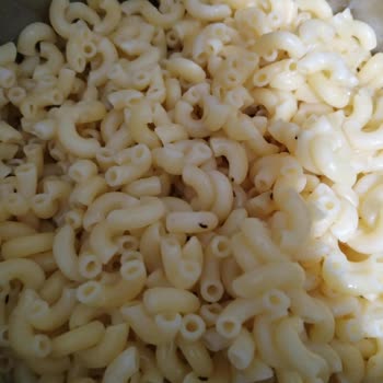 Dirsek Makarna’da Böceklenme Ve Gıda Güvenliği Sorunu