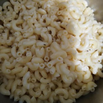 Dirsek Makarna’da Böceklenme Ve Gıda Güvenliği Sorunu
