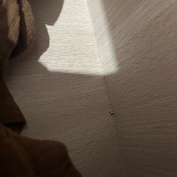 Vida Çıkıntısı Ve Kapak Ayar Sorunlarıyla Servis Cevapsızlığı