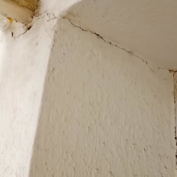 Armut.com'dan Gelen Eksik Balkon Filesi Kedilerin Hayati Riskine Yol Açtı